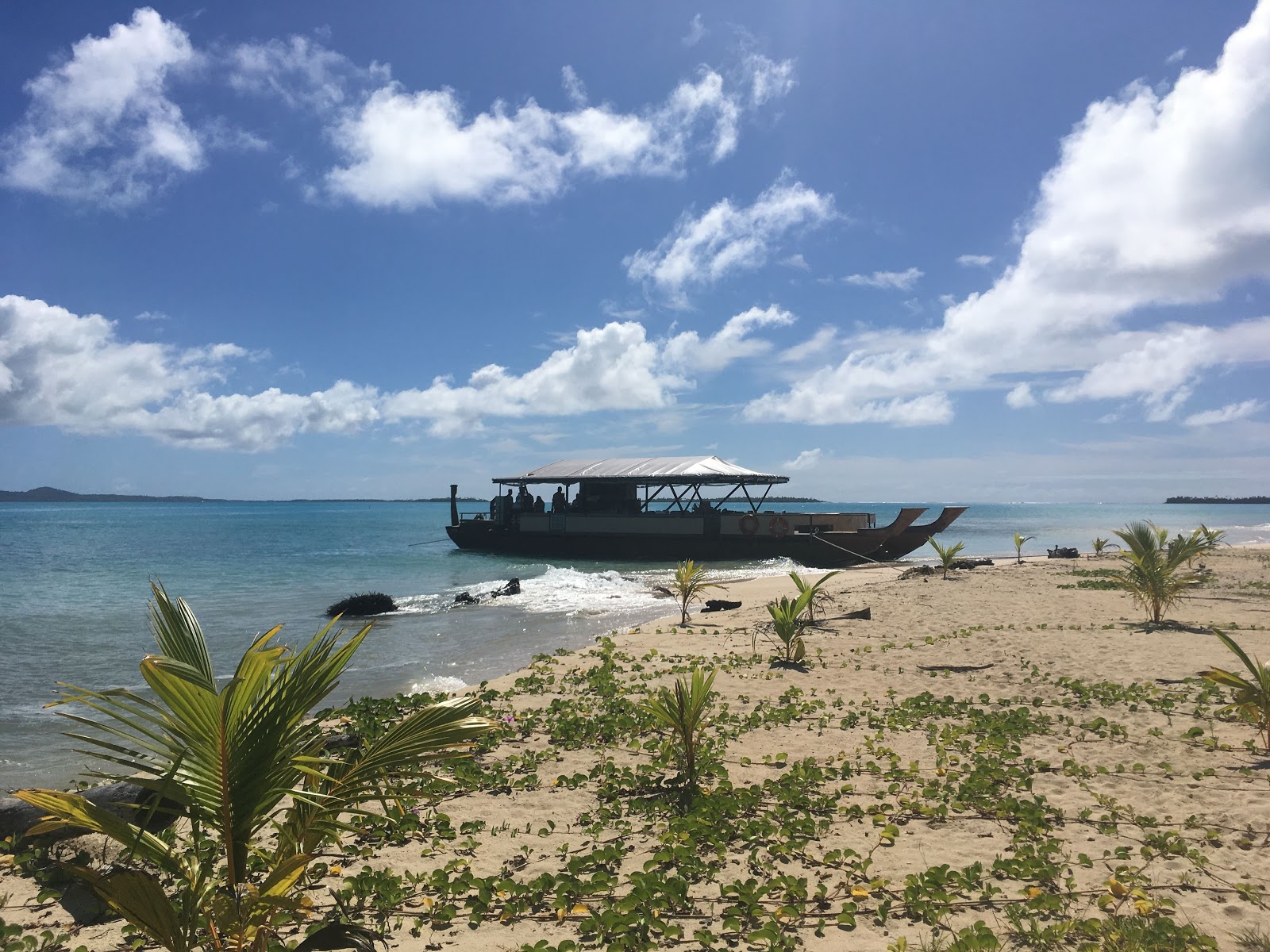 Photo of Moturakau Beach wild area