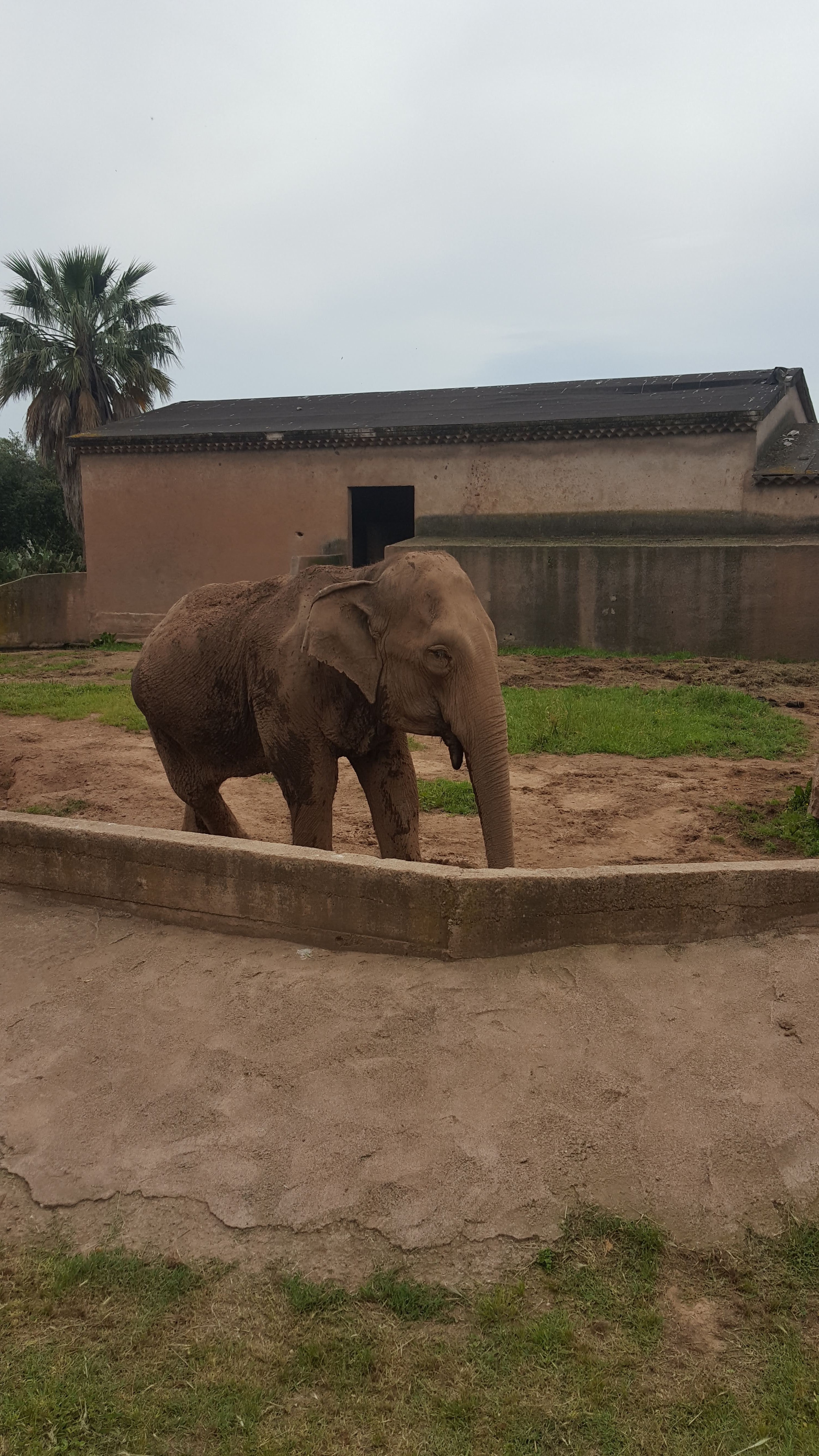 Photo n° 4 de l'avis de Eli. fait le 27/05/2018 à 18:47