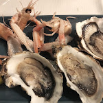 Photo n°1 de l'avis de Stefano.r fait le 02/12/2023 à 09:00 sur le  Pesciolini Innamorati à Cremona