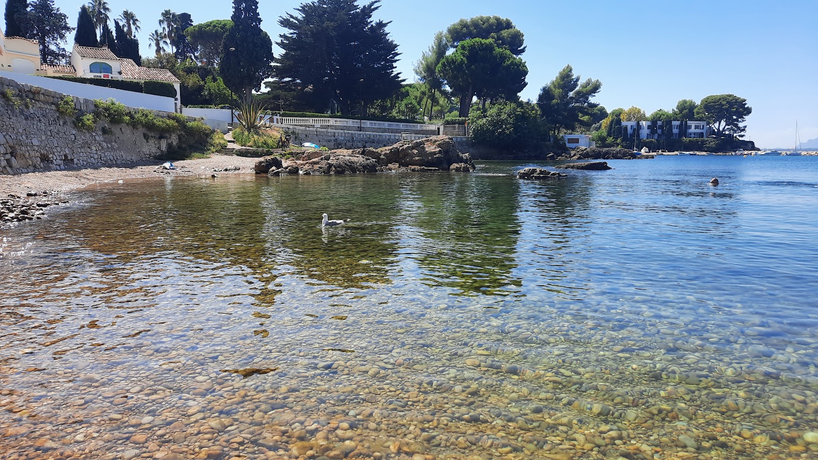 Plage du Port Mallet'in fotoğrafı ve yerleşim
