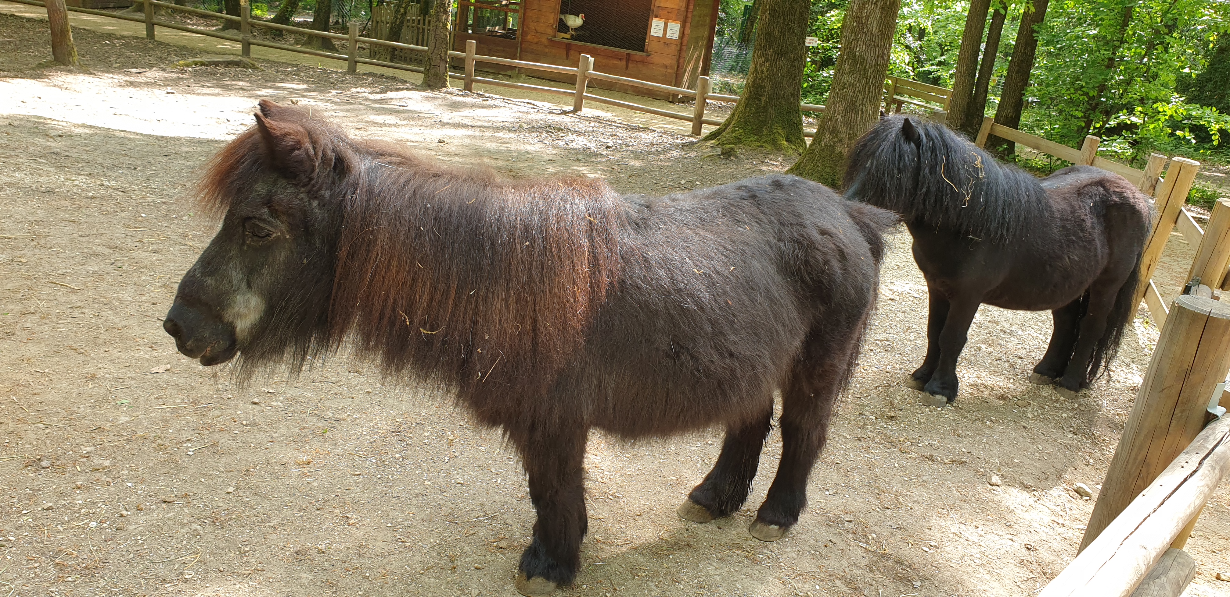 Photo n° 9 de l'avis de Dominique.A fait le 05/05/2022 à 18:02