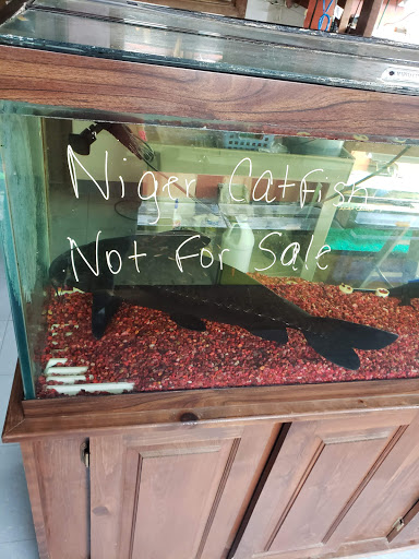 Pet Store «Night Stalkers Pet Emporium», reviews and photos, 5008 Madison Ave, Anderson, IN 46013, USA