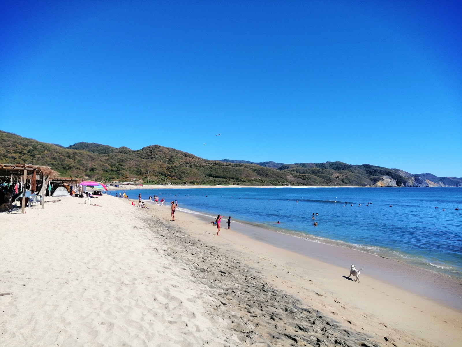 Foto de Playa Maruata com areia fina e brilhante superfície