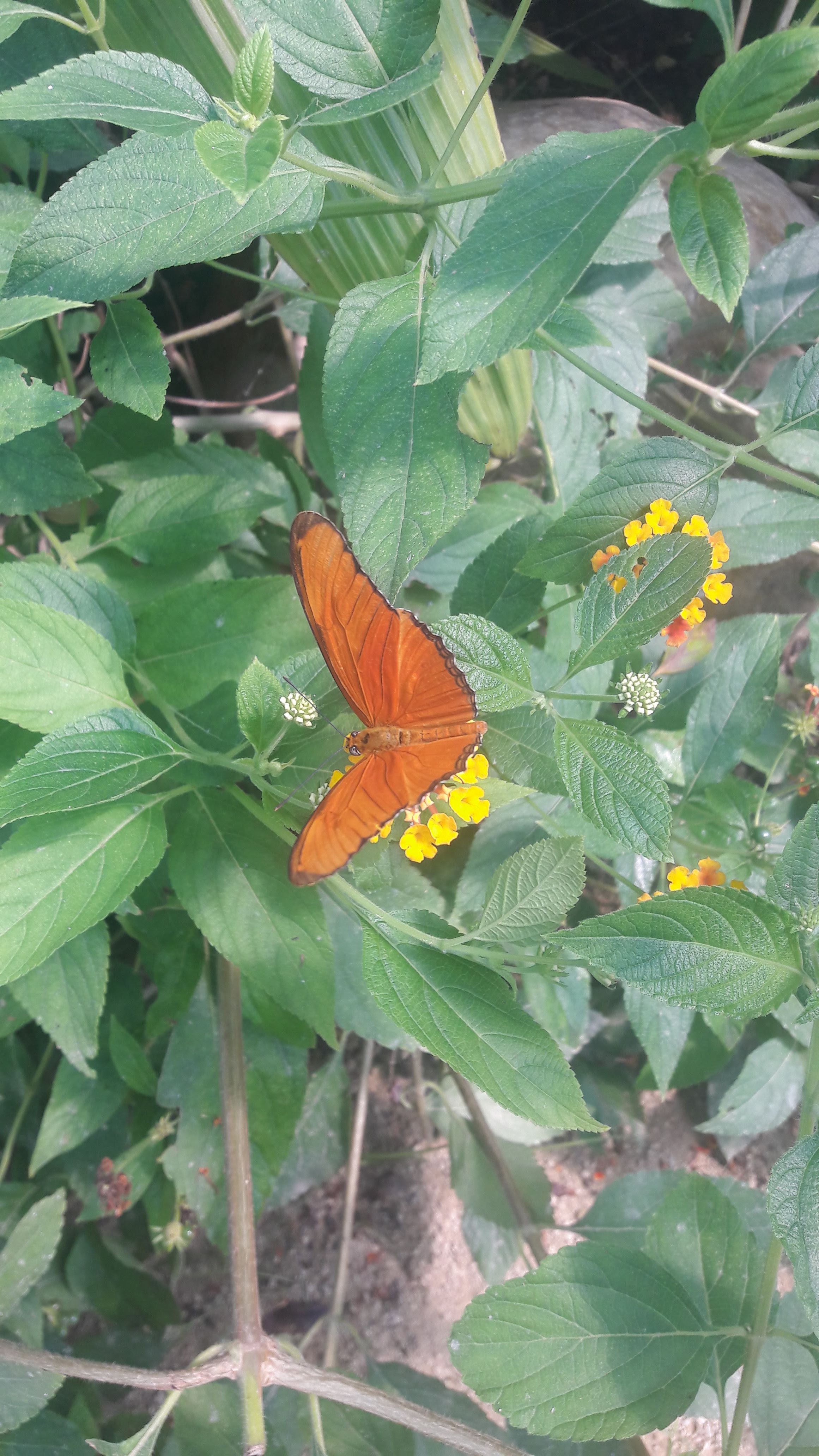 Photo n° 1 de l'avis de Stéphane.r fait le 19/07/2020 à 16:35