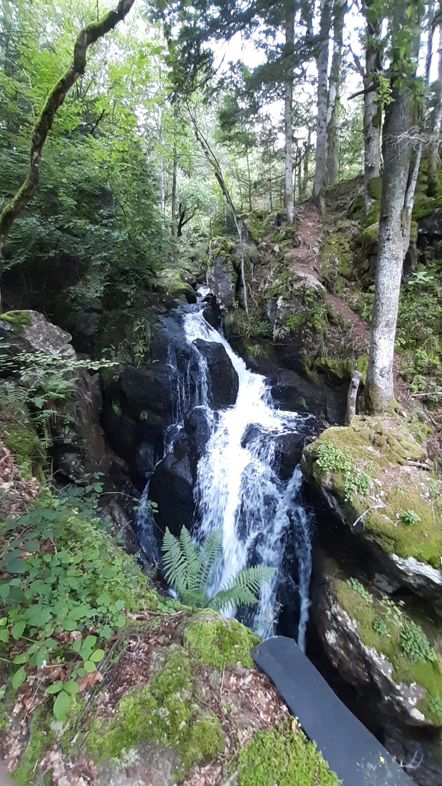 Photo n° 1 de l'avis de Peter.a fait le 01/09/2023 à 15:49