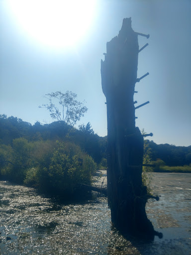 Tourist Attraction «Mallows Bay», reviews and photos, 1440 Wilson Landing Rd, Nanjemoy, MD 20662, USA