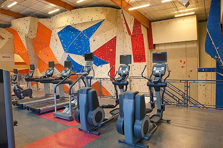 Stone Summit Climbing Atlanta