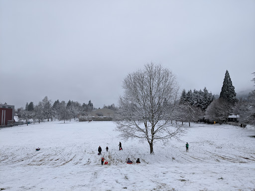 Park «Clinton City Park», reviews and photos, 5576 SE Division St, Portland, OR 97206, USA