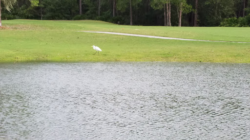 Golf Club «Julington Creek Golf Club», reviews and photos, 1111 Durbin Creek Blvd, Fruit Cove, FL 32259, USA