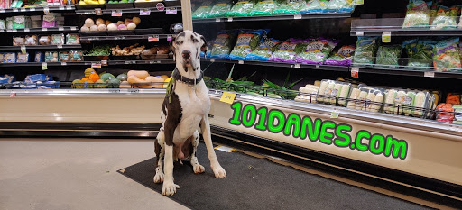 Grocery Store «Food Lion», reviews and photos, 1856 Tappahannock Blvd, Tappahannock, VA 22560, USA