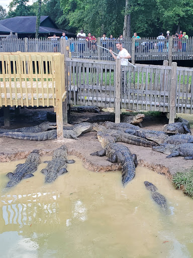 Zoo «Gators and Friends», reviews and photos, 11441 US-80, Greenwood, LA 71033, USA