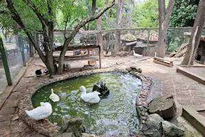 Aytos Zoo image