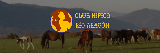 Caballos Pirineos - CLUB HÍPICO RÍO ARAGÓN en Santa Cilia (Jaca), Huesca