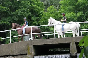 Spring Valley Equestrian Center image