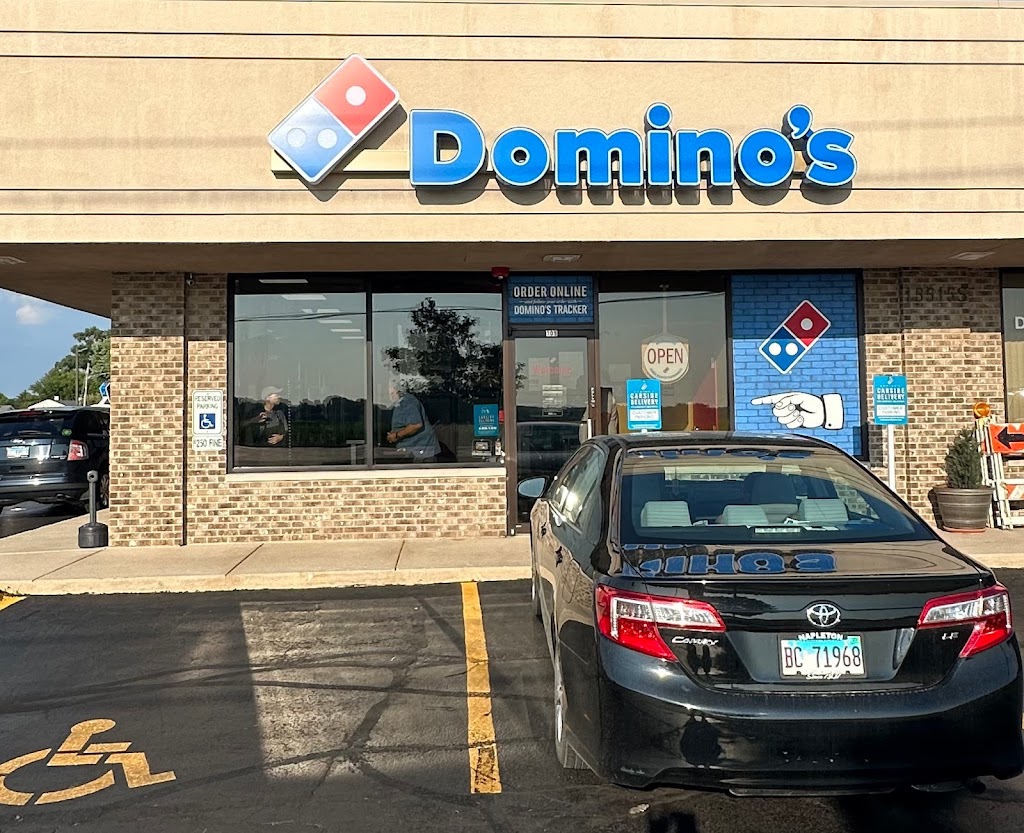 Domino's Pizza 60544