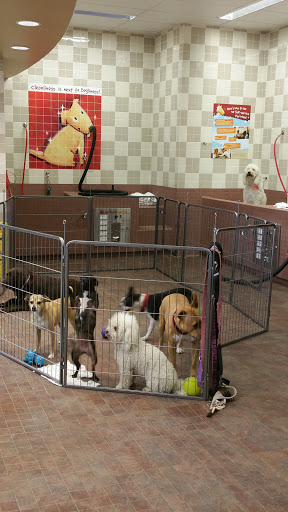 Pet Supply Store «Pet Food Express», reviews and photos, 9153 W Olympic Blvd, Beverly Hills, CA 90212, USA