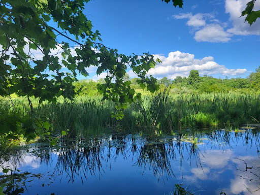 Nature Preserve «Cool Spring Preserve», reviews and photos, 1469 Lloyd Rd, Charles Town, WV 25414, USA
