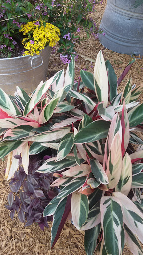 Nature Preserve «Jefferson Memorial Forest», reviews and photos, 11311 Mitchell Hill Rd, Fairdale, KY 40118, USA