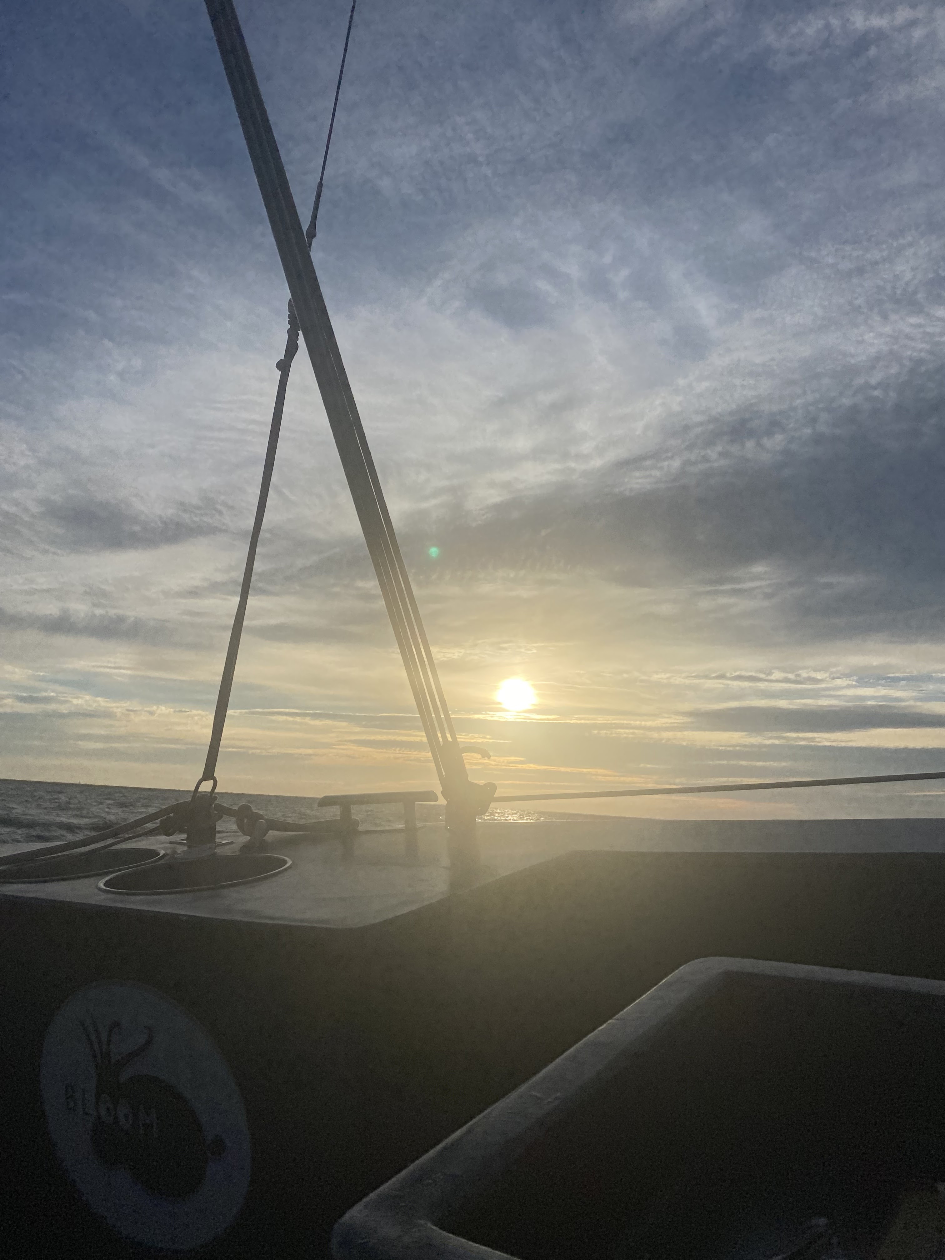 Photo n° 4 de l'avis de Moreau.a fait le 16/08/2023 à 22:21