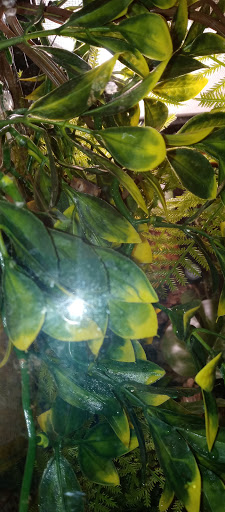 Pet Supply Store «Petco Animal Supplies», reviews and photos, 16434 N Marketplace Blvd, Nampa, ID 83651, USA