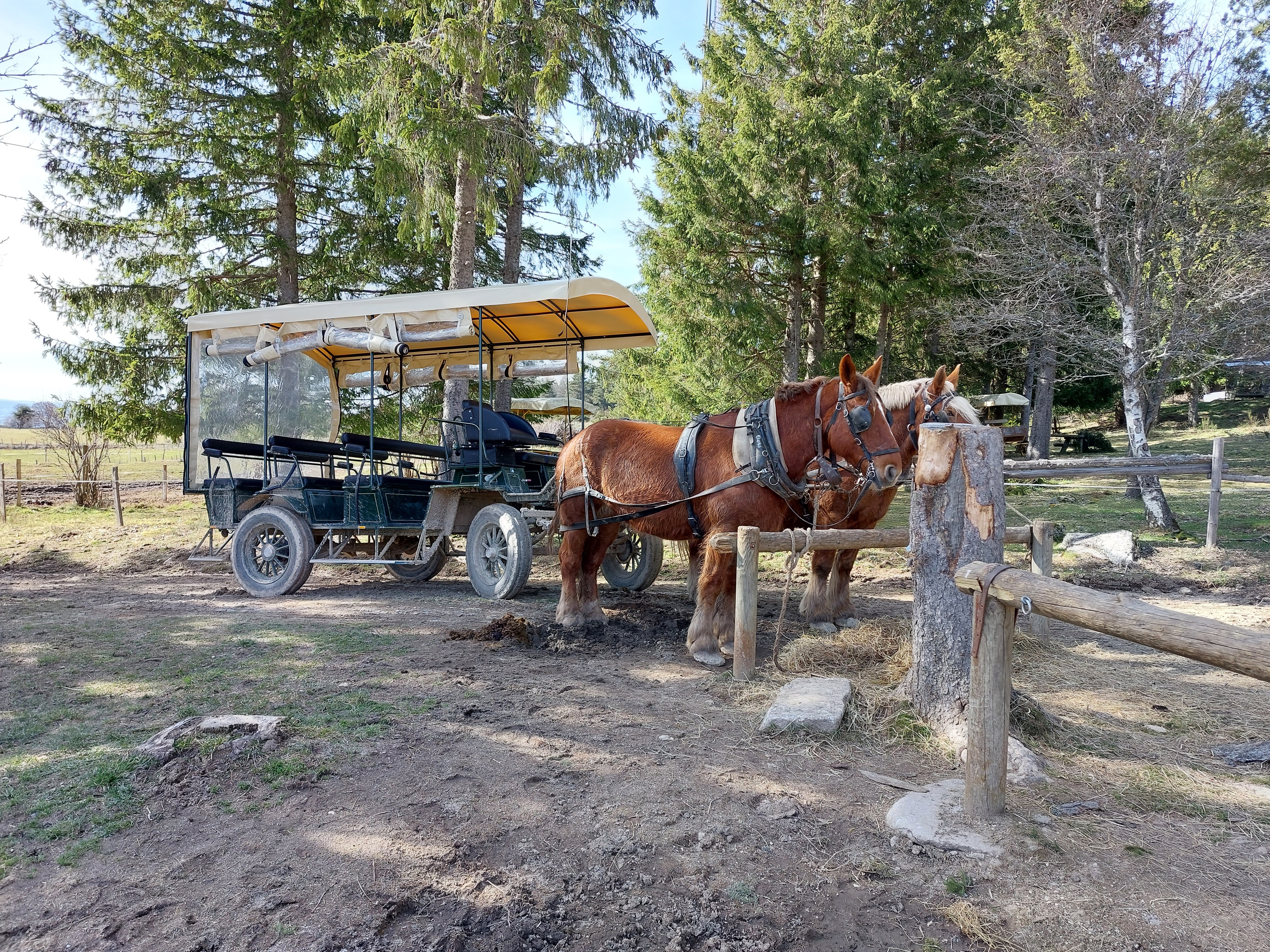 Photo n° 1 de l'avis de Marie-the.e fait le 27/03/2023 à 16:56