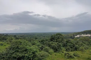 TAPMI Viewpoint image