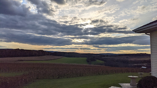 Winery «Galen Glen Winery», reviews and photos, 255 Winter Mountain Dr, Andreas, PA 18211, USA