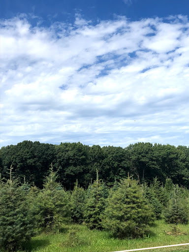 Golf Course «Tamarack Golf Course», reviews and photos, 97 Hardenburg Ln, East Brunswick, NJ 08816, USA