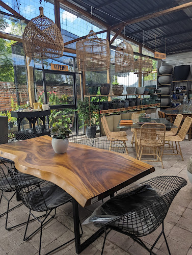 Zona Garden | Centro de jardinería | Diseño | Mantenimiento | Tienda | Quito