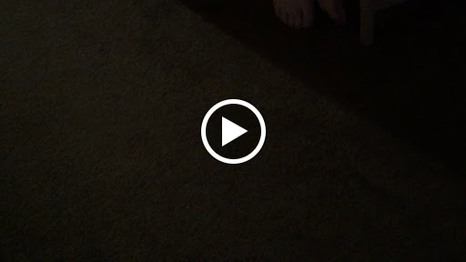 Pet Supply Store «Petco Animal Supplies», reviews and photos, 1574 N Dupont Hwy #300, Dover, DE 19901, USA