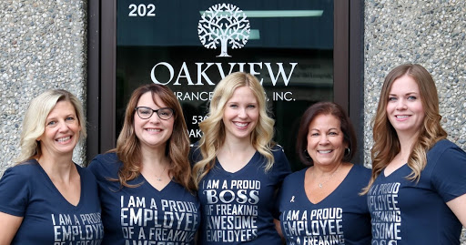Oakview Insurance Services, Inc. image