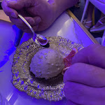 Photo n°4 de l'avis de Barbara.u fait le 22/08/2021 à 19:48 sur le  Scugniz à Trani