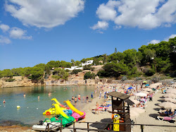 Photo de Cala Gracio avec un niveau de propreté de très propre