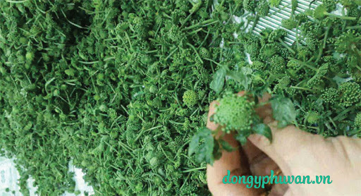 Af1qipo0in2iprzn Ynhj0kq06twkqvjzjyb Q0nndk