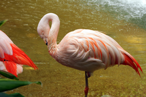 Zoo «Topeka Zoo», reviews and photos, 636 SW Zoo Pkwy, Topeka, KS 66606, USA