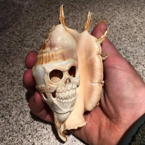 Donations Center «Goodwill Donation Center», reviews and photos