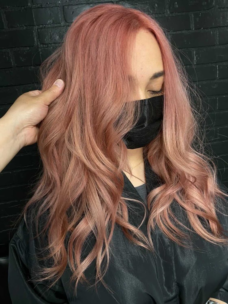 DV HAIR STUDIO 法拉盛专业美发店 11354