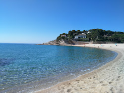 Foto de Praia de Cala Sa Conca com muito limpo nível de limpeza