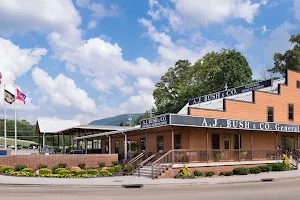 Bush's Visitor Center image