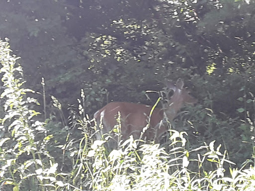 Park «Beekman Recreation Park», reviews and photos, 29 Recreation Center Rd, Hopewell Junction, NY 12533, USA