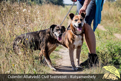 Csömöri kutyamenhely - Csömöri Állatvédő Civil Szervezet