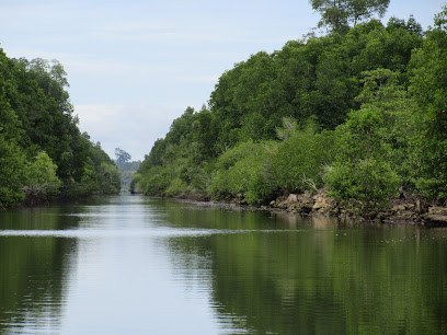 Sungai Guntung Taman Nasional Kutai