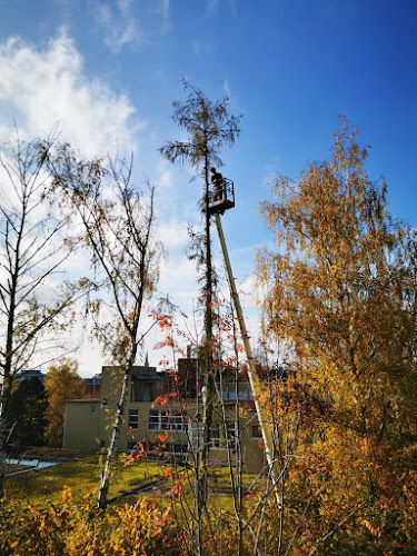 manuel humbel gartenbau GmbH