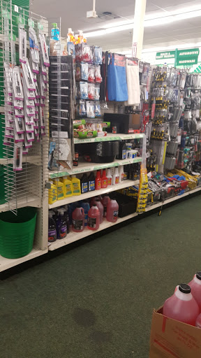 Dollar Store «Dollar Tree», reviews and photos, 2653 Annapolis Rd, Hanover, MD 21076, USA