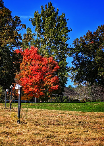 Golf Driving Range «Patriot Golf Course», reviews and photos, 200 Springs Rd, Bedford, MA 01730, USA
