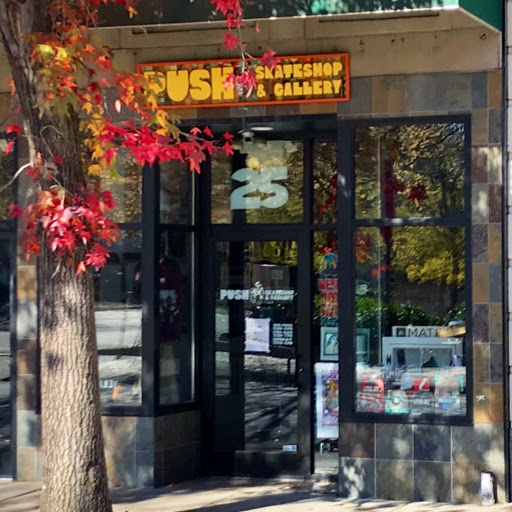 Push Skate Shop, 25 Patton Ave, Asheville, NC 28801, USA, 