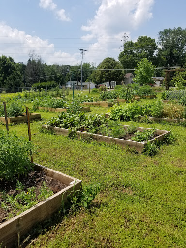 Springfield Township Community Garden