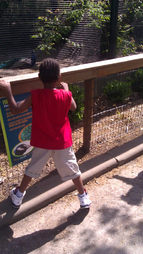 Golf Course «Swope Memorial Golf Course», reviews and photos, 6900 Swope Memorial Dr, Kansas City, MO 64132, USA