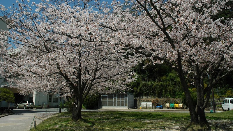 福岡教育大学附属福岡小学校