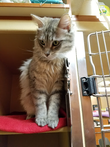 Pet Supply Store «PetSmart», reviews and photos, 2730 Pacific Coast Hwy, Torrance, CA 90505, USA